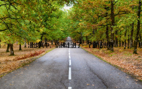 漫步其中, 仿佛走进了一个童话世界