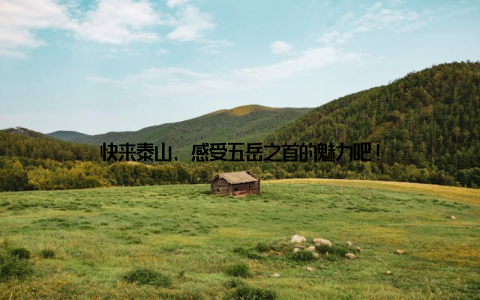 快来泰山, 感受五岳之首的魅力吧!