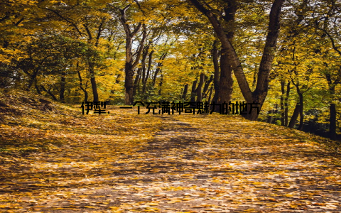 伊犁, 一个充满神奇魅力的地方