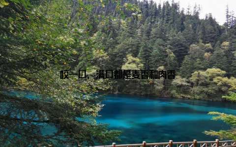 咬一口, 满口都是麦香和肉香