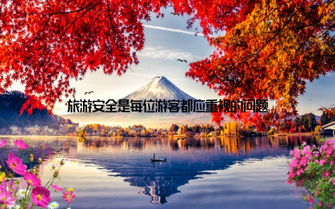 旅游安全是每位游客都应重视的问题