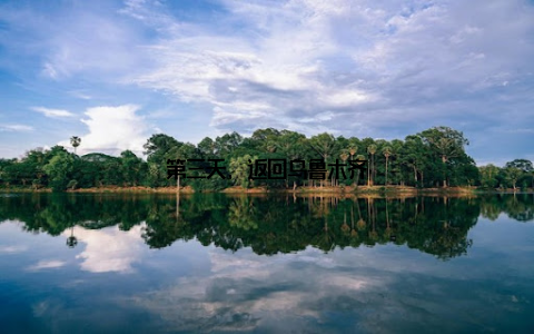 第三天, 返回乌鲁木齐