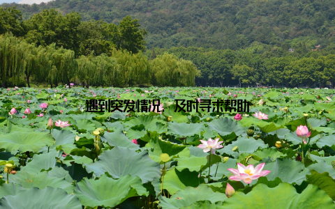 遇到突发情况, 及时寻求帮助