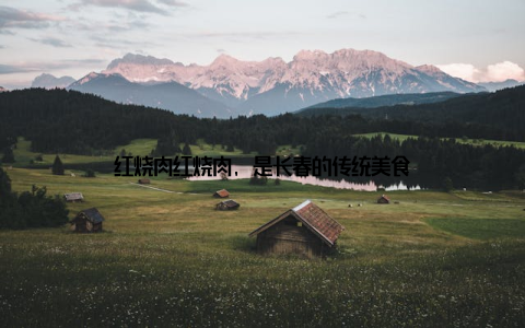 红烧肉红烧肉, 是长春的传统美食