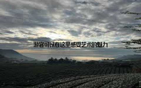 游客可以在这里感受艺术的魅力