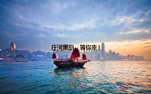 庄河黑岛, 等你来!