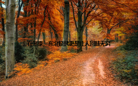 在冬季, 东北烧烤更是让人回味无穷