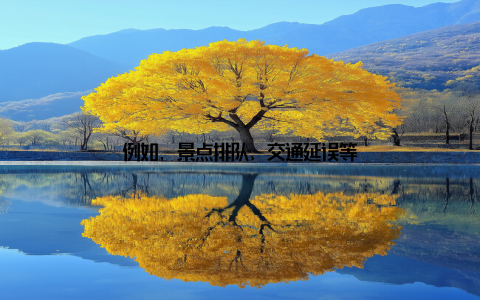 例如, 景点排队、交通延误等